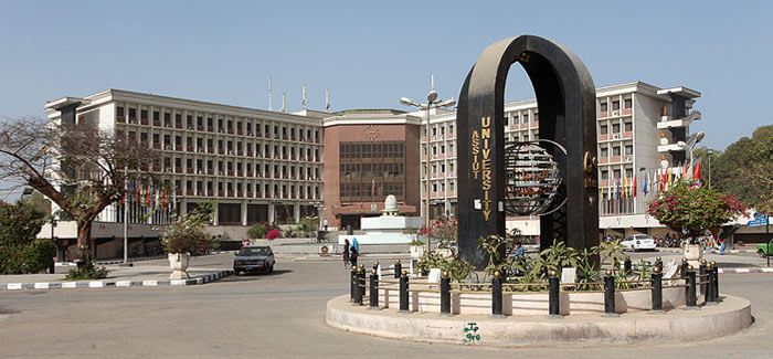 Assiut University 