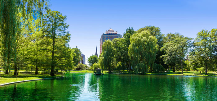 Boston Public Garden Boston Public Garden