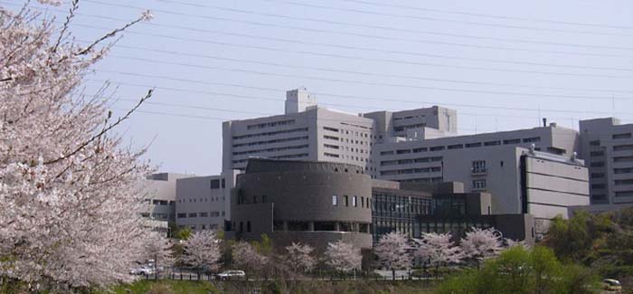 japan university