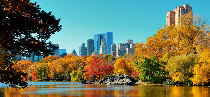 New York City Central Park New York City Central Park