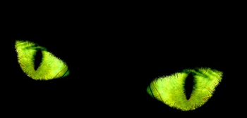 Friday 13th: Superstitions from Around the World main image