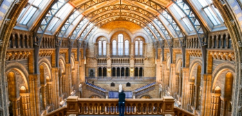 Top 5 Best Museums in London