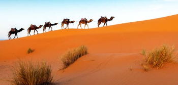 Warm Study Destinations: Morocco main image Warm Study Destinations: Morocco main image
