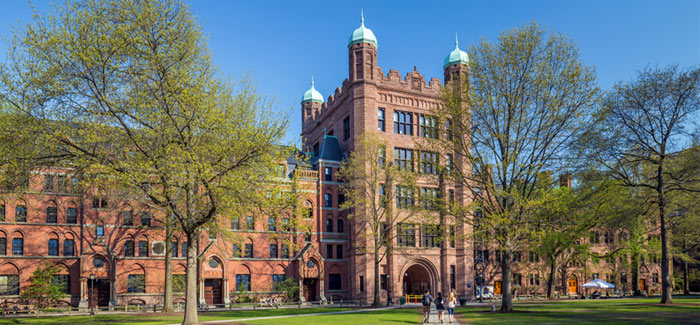 Yale Yale